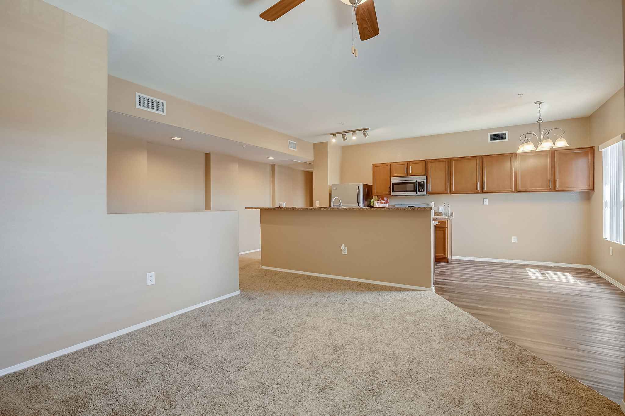 Apartment Livingroom Kitchen Dining Area Front Door Layout2